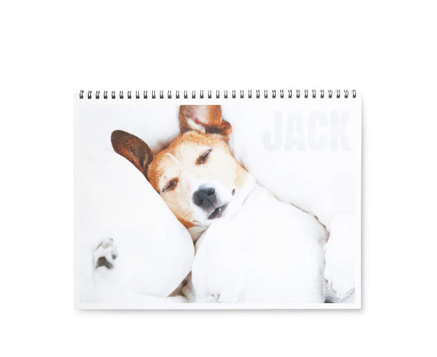 Wall Calendars