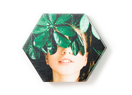 Hex Canvas Light